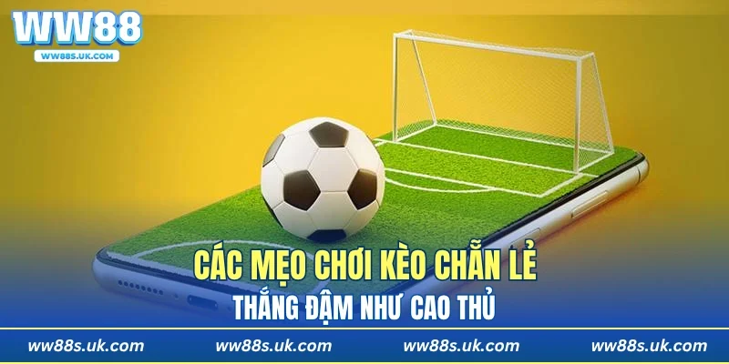 Các mẹo chơi kèo chẵn lẻ thắng đậm như cao thủ