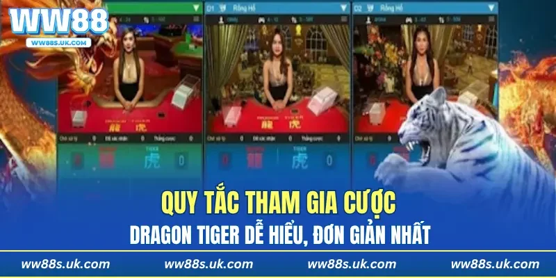 Quy tắc tham gia cược Dragon Tiger dễ hiểu, đơn giản nhất